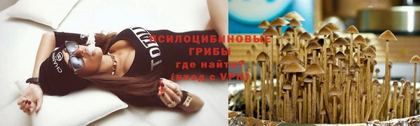круглые Магас
