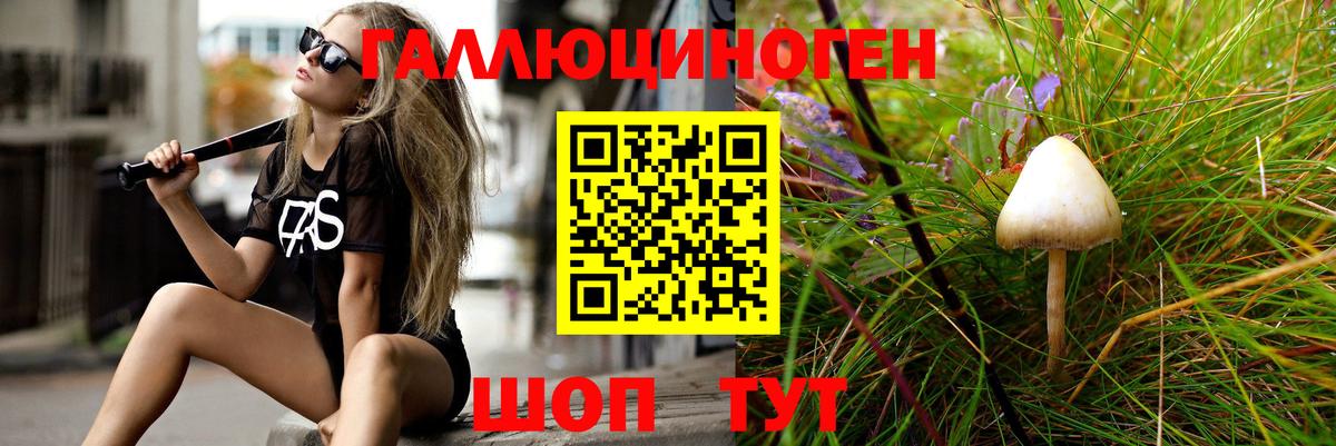 Псилоцибиновые грибы MAGIC MUSHROOMS Калуга