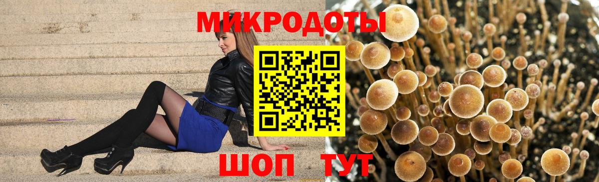 Псилоцибиновые грибы Psilocybine cubensis  Галлюциногенные грибы мухоморы  цены наркотик  Калуга 